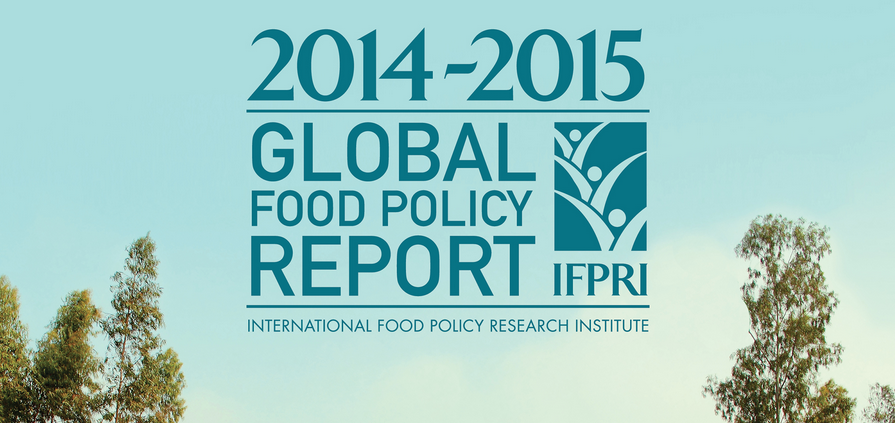 Screenshot of IFPRI's 2014-2015 Global Food Policy Report